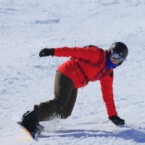 Delmo8