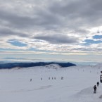 descobrint_pallars